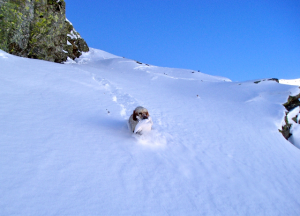 Fendendo... il bianco